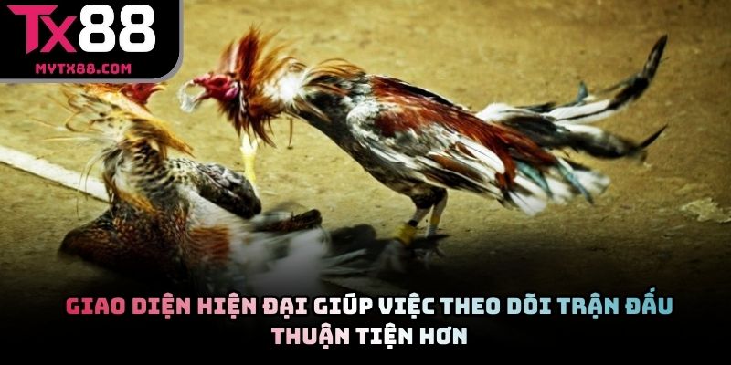 Giao diện hiện đại giúp việc theo dõi trận đấu thuận tiện hơn