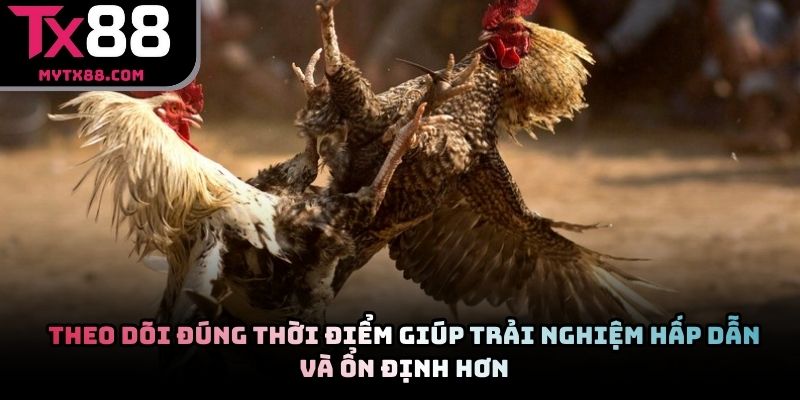 Theo dõi đúng thời điểm giúp trải nghiệm hấp dẫn và ổn định hơn
