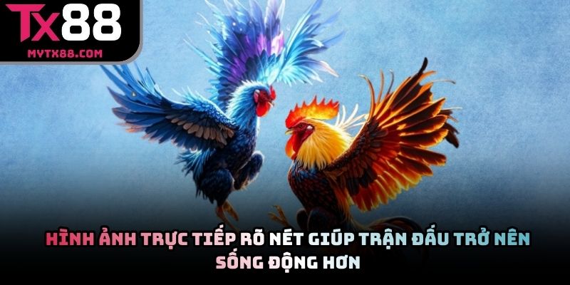 Hình ảnh trực tiếp rõ nét giúp trận đấu trở nên sống động hơn