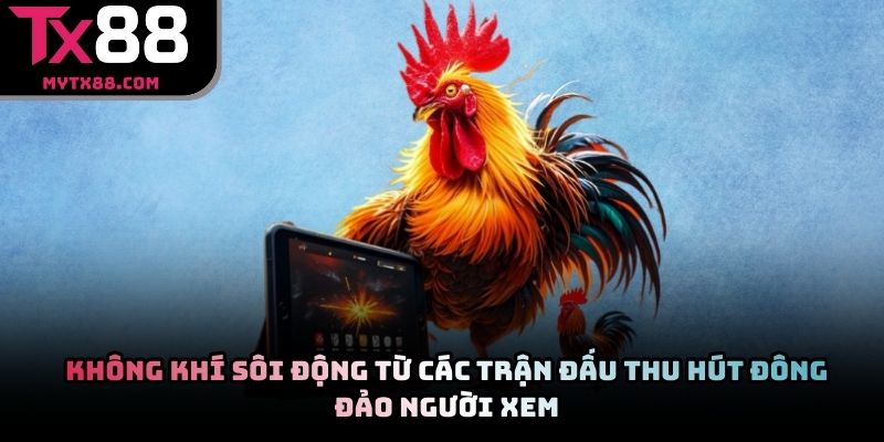 Không khí sôi động từ các trận đấu thu hút đông đảo người xem
