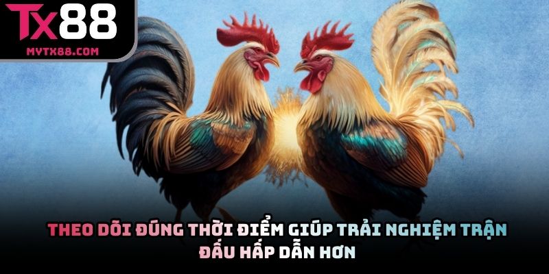 Theo dõi đúng thời điểm giúp trải nghiệm trận đấu hấp dẫn hơn