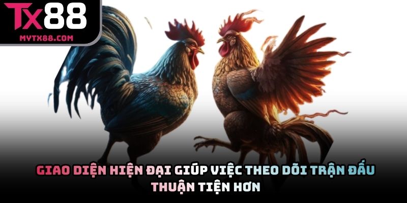 Giao diện hiện đại giúp việc theo dõi trận đấu thuận tiện hơn