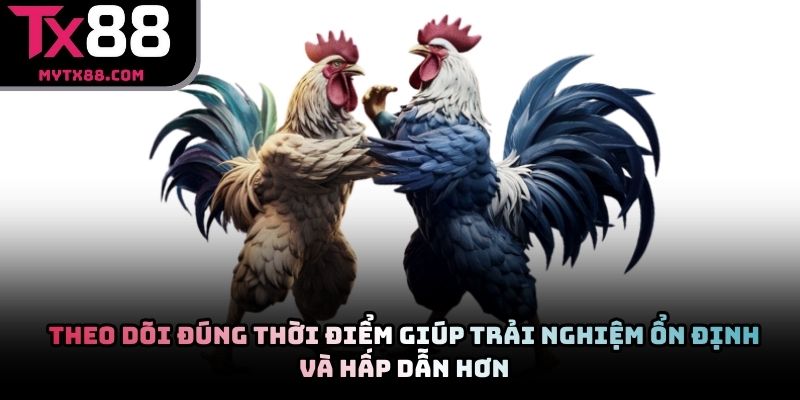 Theo dõi đúng thời điểm giúp trải nghiệm ổn định và hấp dẫn hơn