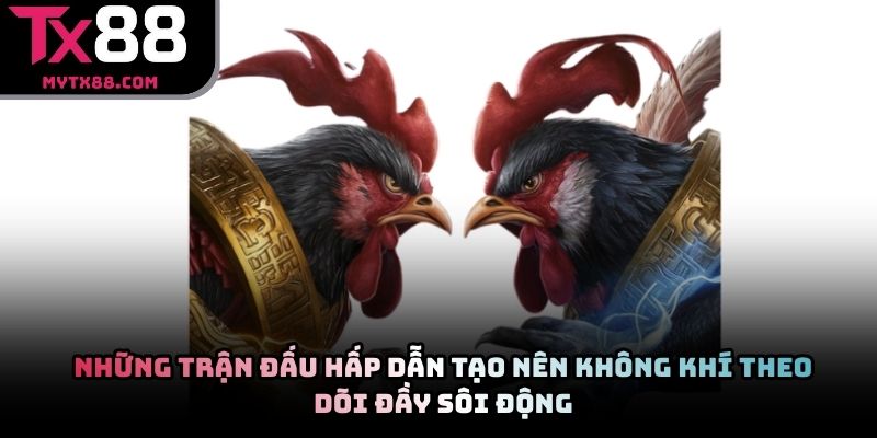 Những trận đấu hấp dẫn tạo nên không khí theo dõi đầy sôi động