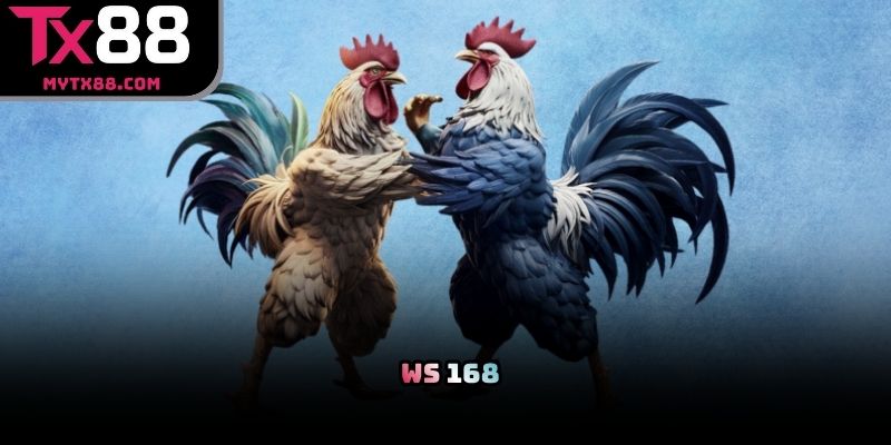 WS 168