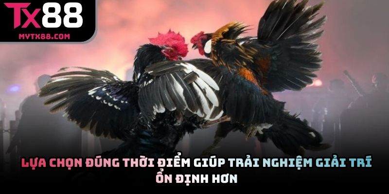 Lựa chọn đúng thời điểm giúp trải nghiệm giải trí ổn định hơn